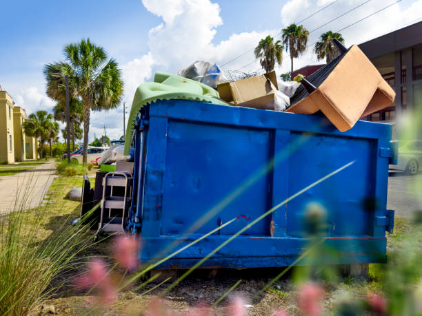 Debris Removal in Mount Prospect, IL